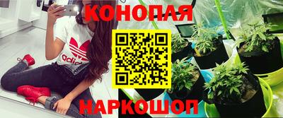 мяу мяу кристалл Краснодар