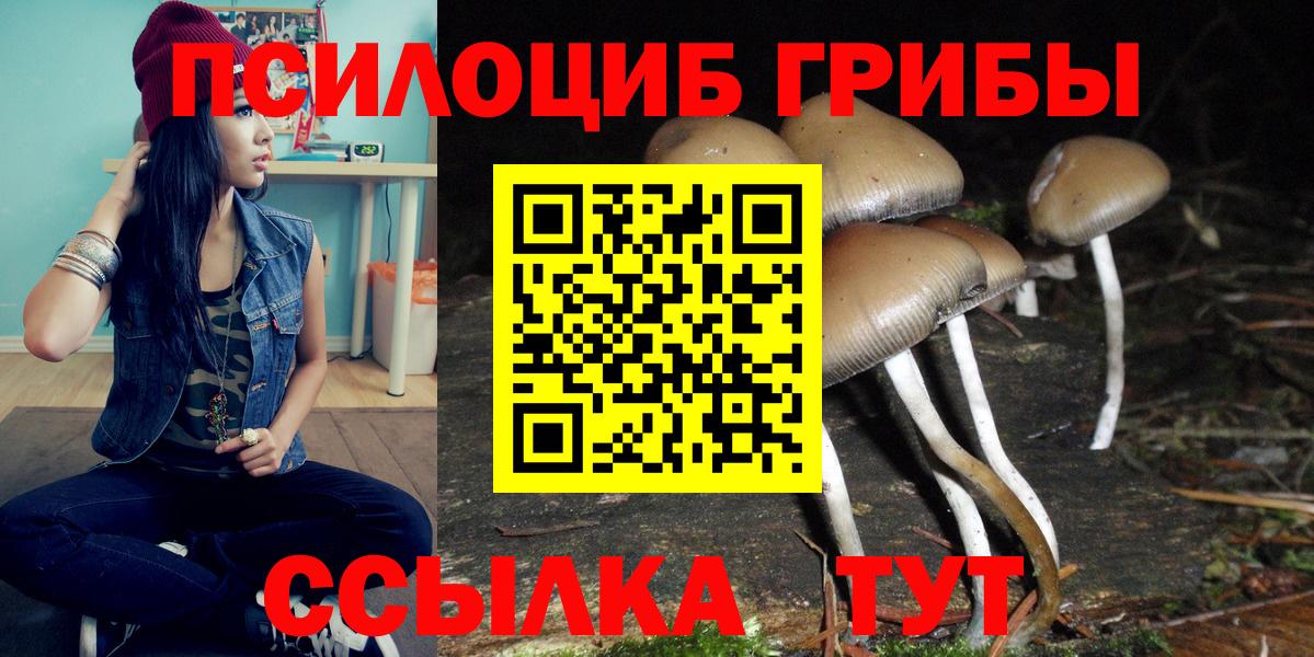 Переславль-Залесский  Псилоцибиновые грибы GOLDEN TEACHER  Вход с VPN 
