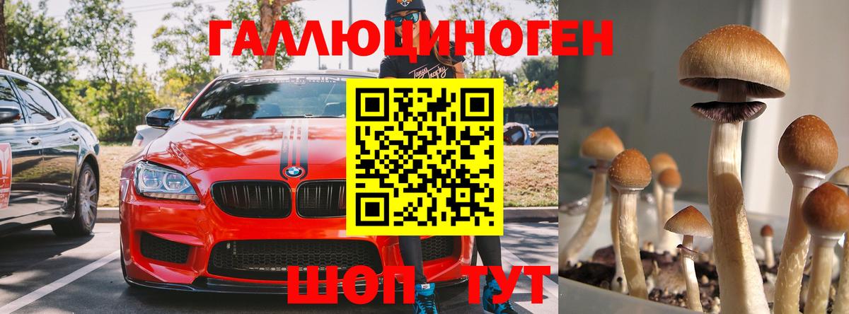 Галлюциногенные грибы мухоморы Переславль-Залесский